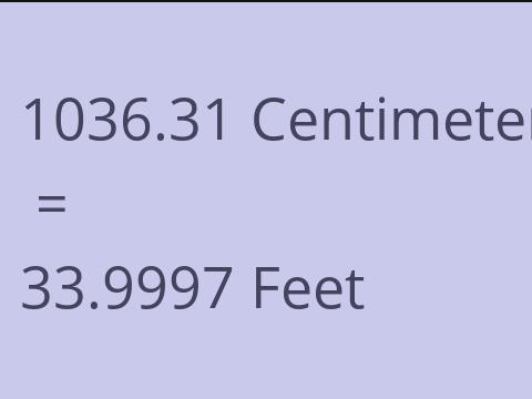 1036.31 CM TO FEET