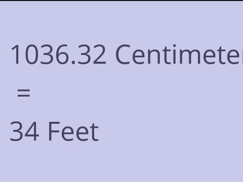 1036.32 CM TO FEET