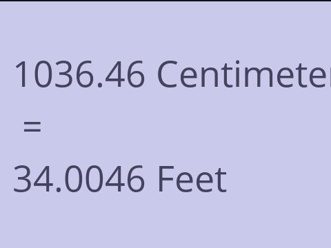 1036.46 CM TO FEET