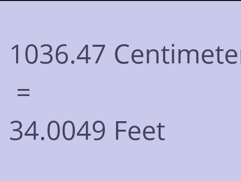 1036.47 CM TO FEET