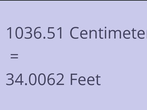 1036.51 CM TO FEET