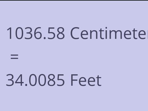 1036.58 CM TO FEET