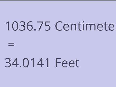 1036.75 CM TO FEET