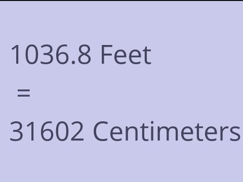 1036.8 FEET TO CM