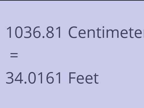 1036.81 CM TO FEET