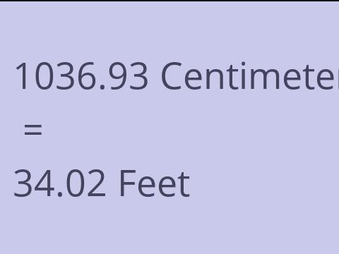 1036.93 CM TO FEET