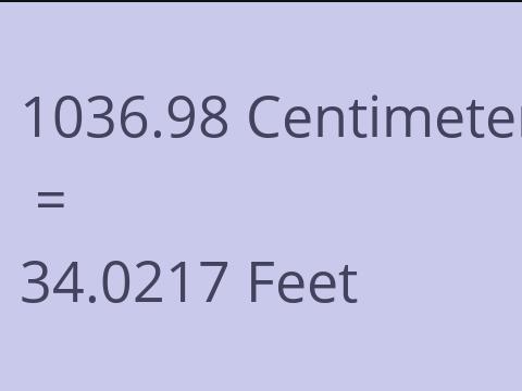 1036.98 CM TO FEET