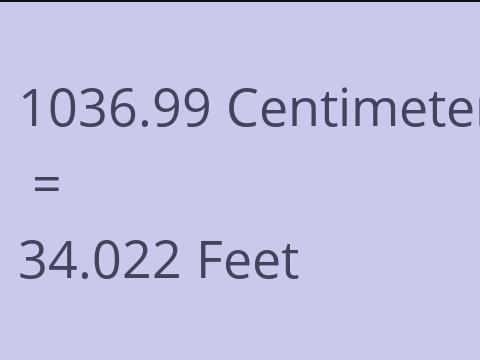 1036.99 CM TO FEET