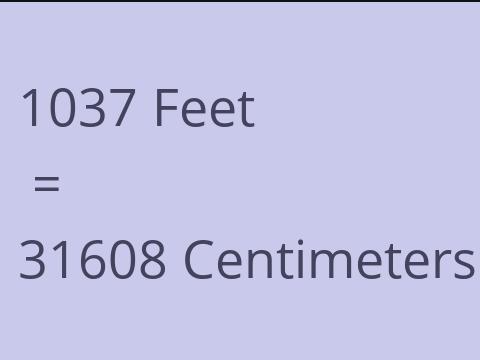 1037 FEET TO CM