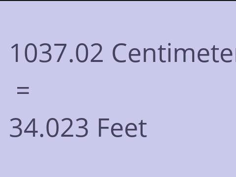 1037.02 CM TO FEET