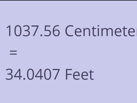 1037.56 CM TO FEET