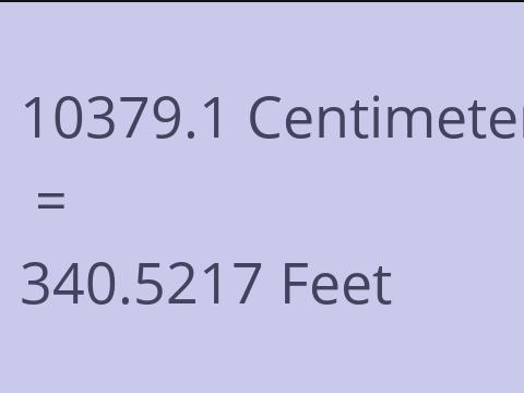 10379.1 CM TO FEET