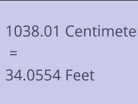 1038.01 CM TO FEET