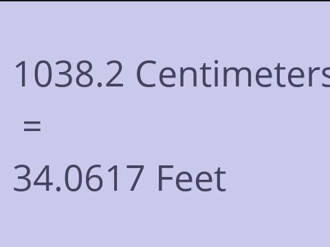 1038.2 CM TO FEET