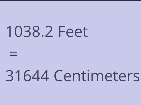 1038.2 FEET TO CM