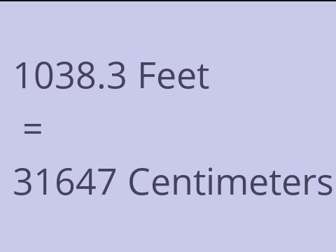 1038.3 FEET TO CM