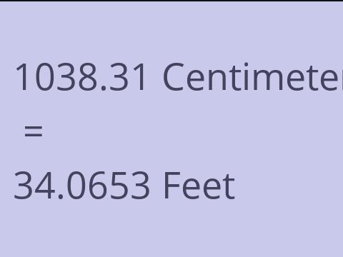 1038.31 CM TO FEET