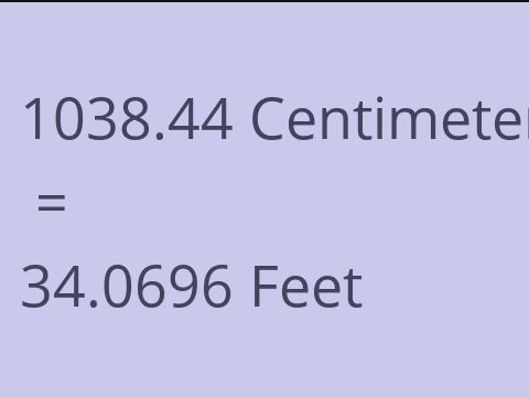 1038.44 CM TO FEET