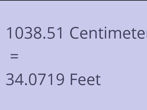 1038.51 CM TO FEET