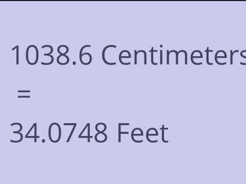 1038.6 CM TO FEET