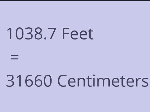 1038.7 FEET TO CM