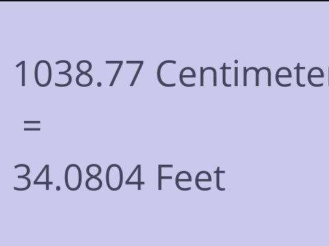 1038.77 CM TO FEET