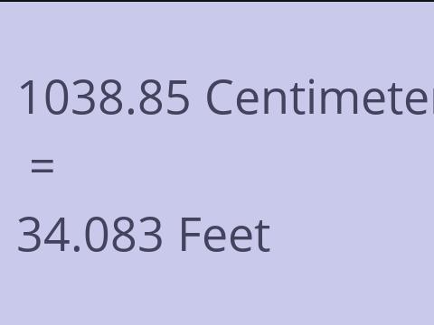 1038.85 CM TO FEET