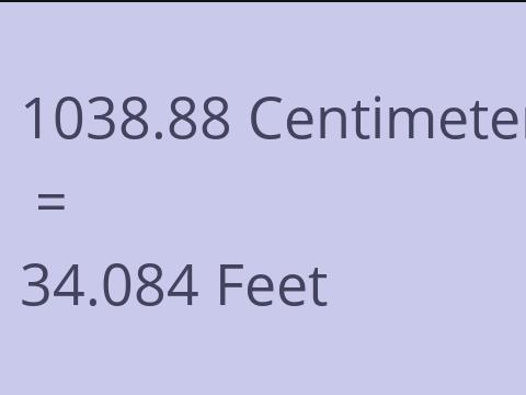 1038.88 CM TO FEET