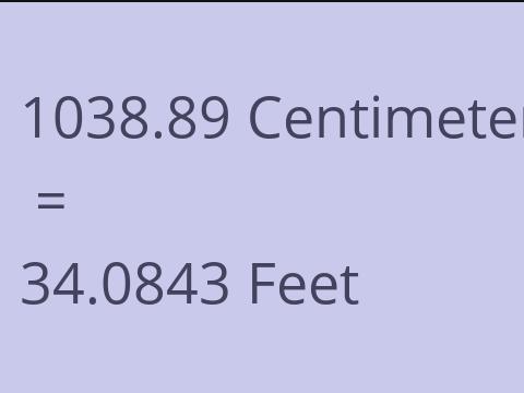 1038.89 CM TO FEET