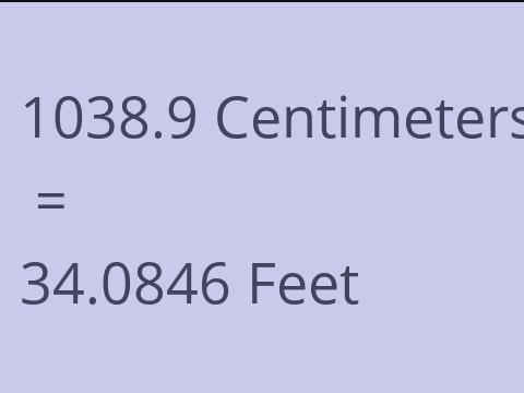 1038.9 CM TO FEET