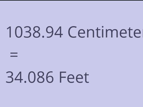 1038.94 CM TO FEET