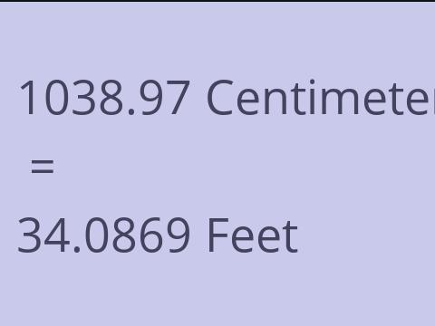 1038.97 CM TO FEET