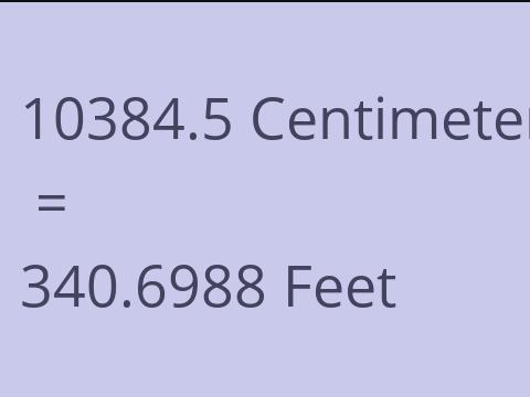 10384.5 CM TO FEET