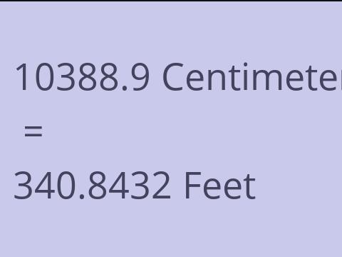 10388.9 CM TO FEET