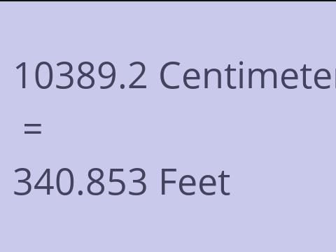 10389.2 CM TO FEET