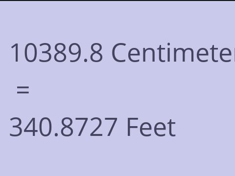 10389.8 CM TO FEET