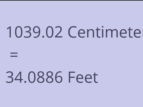 1039.02 CM TO FEET