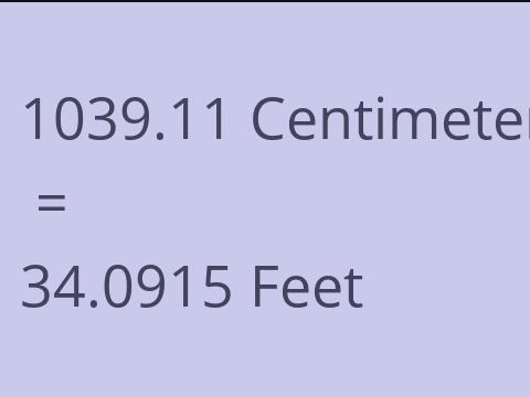 1039.11 CM TO FEET