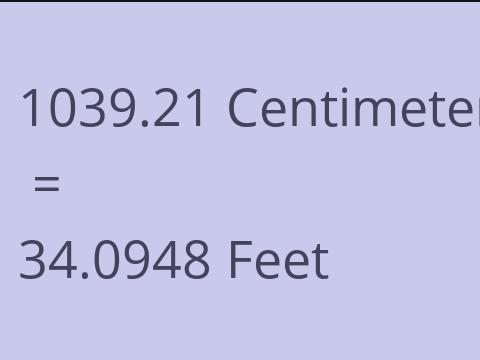 1039.21 CM TO FEET