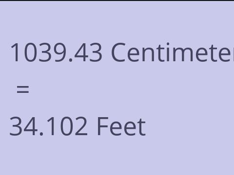 1039.43 CM TO FEET