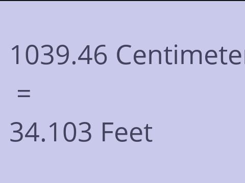 1039.46 CM TO FEET