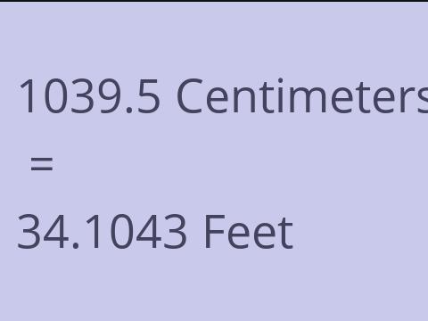 1039.5 CM TO FEET