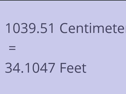 1039.51 CM TO FEET