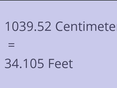 1039.52 CM TO FEET