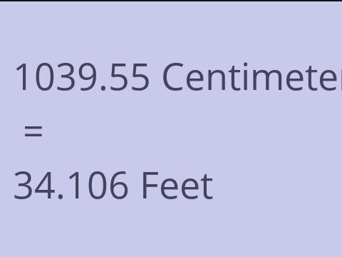 1039.55 CM TO FEET