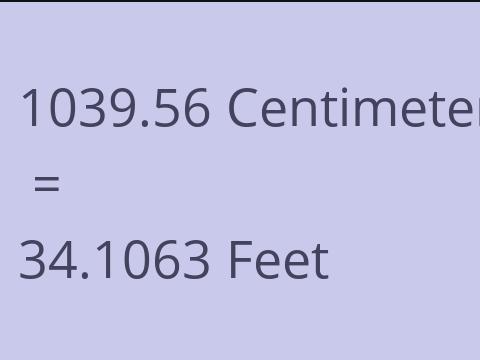 1039.56 CM TO FEET