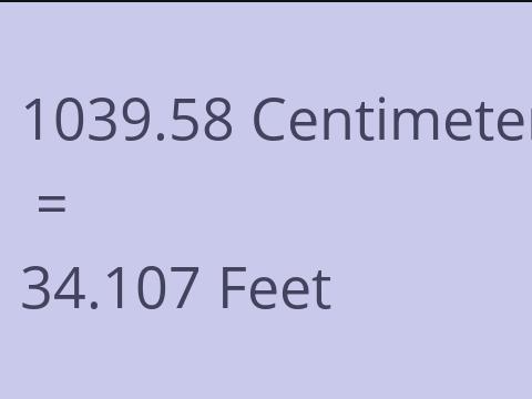 1039.58 CM TO FEET