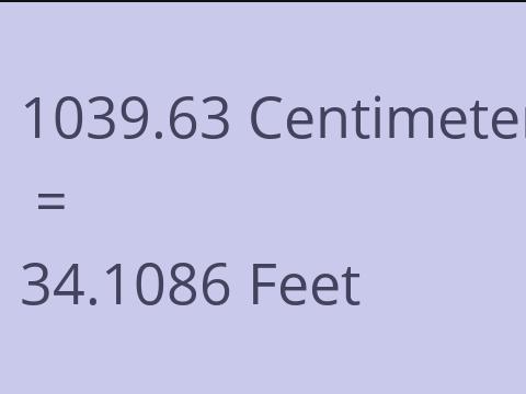 1039.63 CM TO FEET