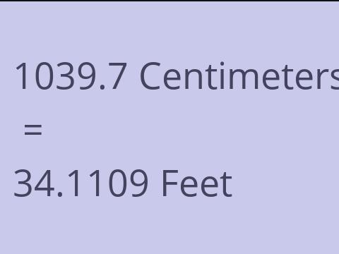 1039.7 CM TO FEET