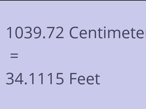 1039.72 CM TO FEET